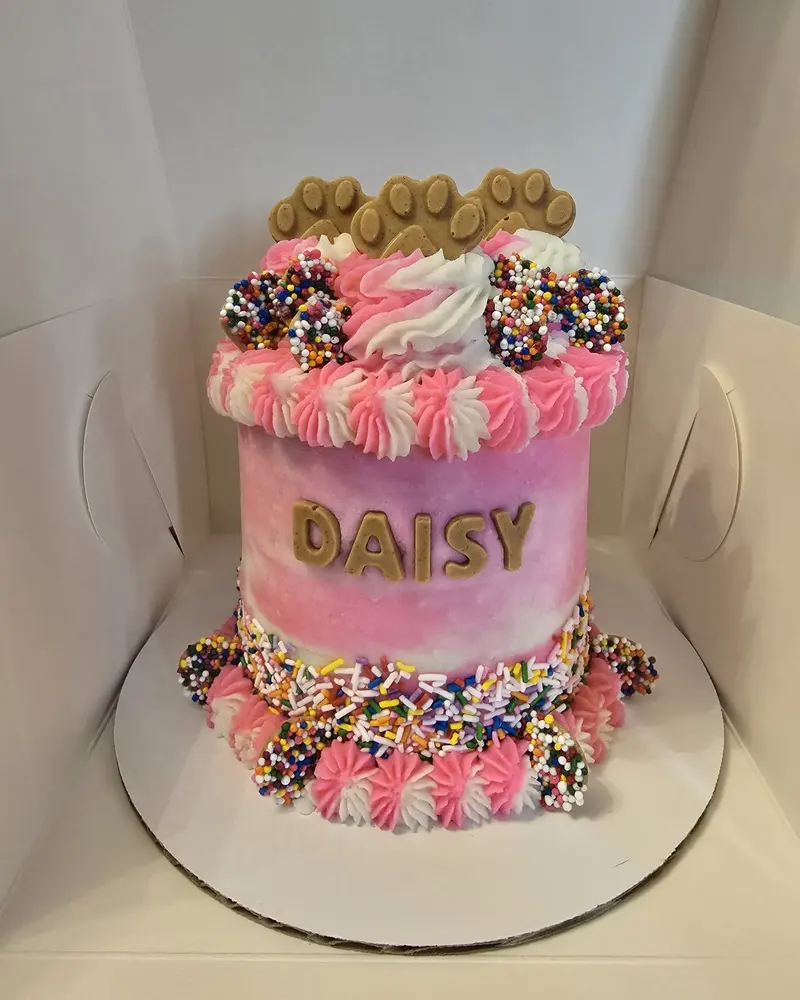 Pink birthday cake with DAISY piped on it, pink ruffles and sprinkles