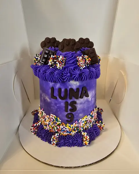 Purple and blue birthday cake with LUNA IS 9 piped on it
