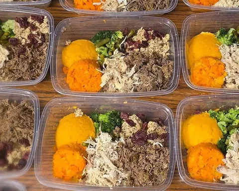 Dog dinner containers with shredded meat, sweet potato and broccoli