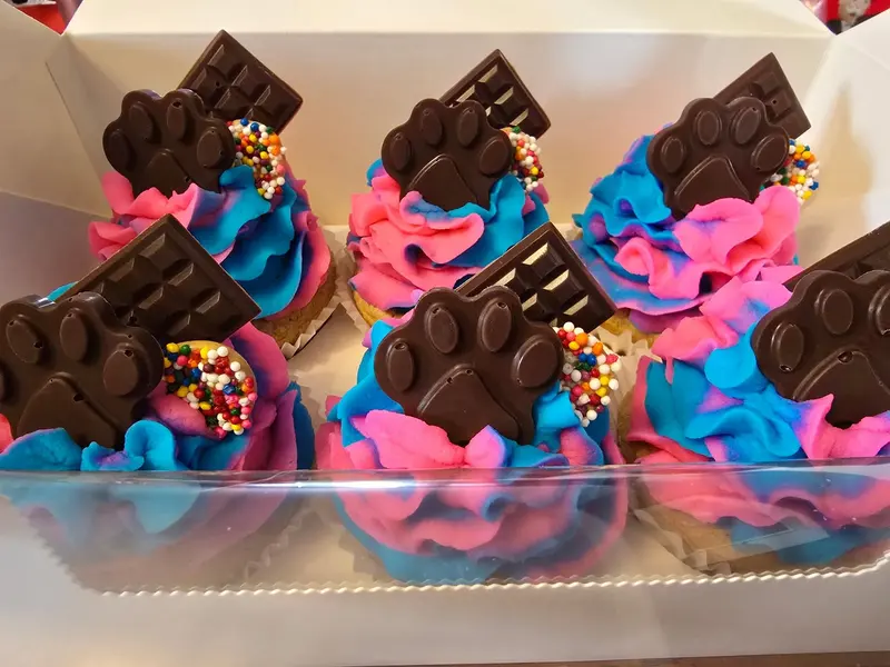 Box of pupcakes with pink and blue swirled frosting and chocolate paw toppers