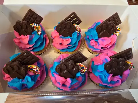 Box of pupcakes with pink and blue frosting and chocolate paw toppers